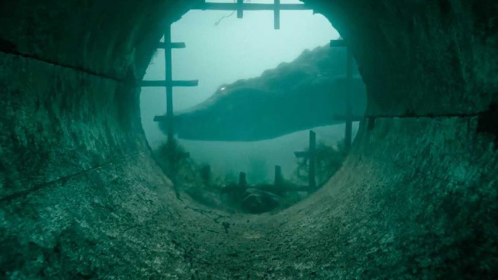 Crawl 2019 horror film