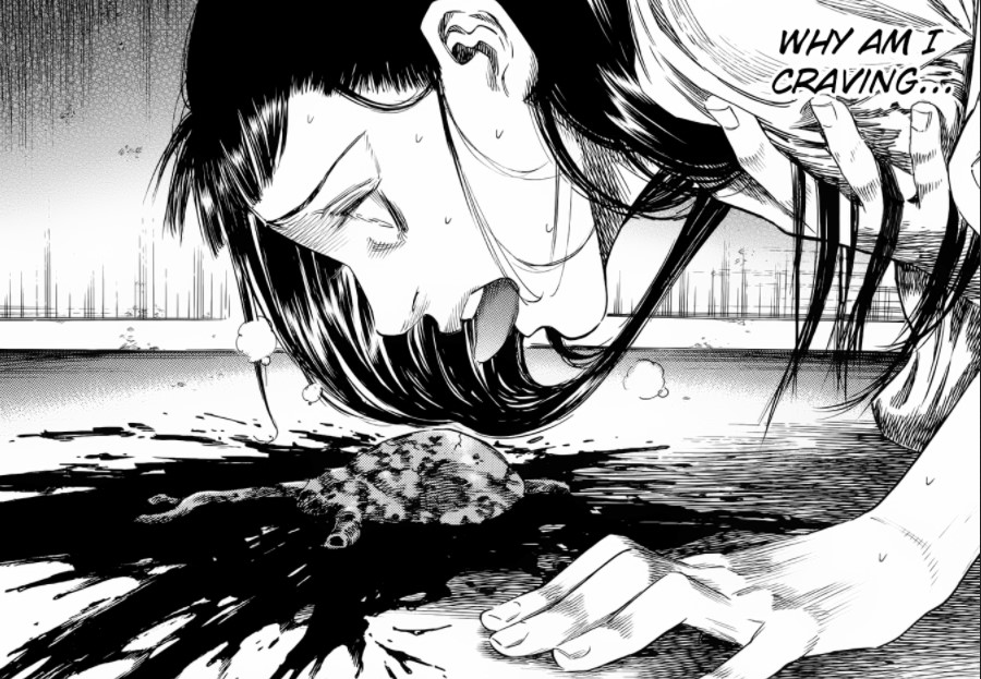 Shiga Hime Manga Review - Gore Soaked Vampiric Horror.