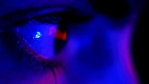 XXX: Dark Web 2019