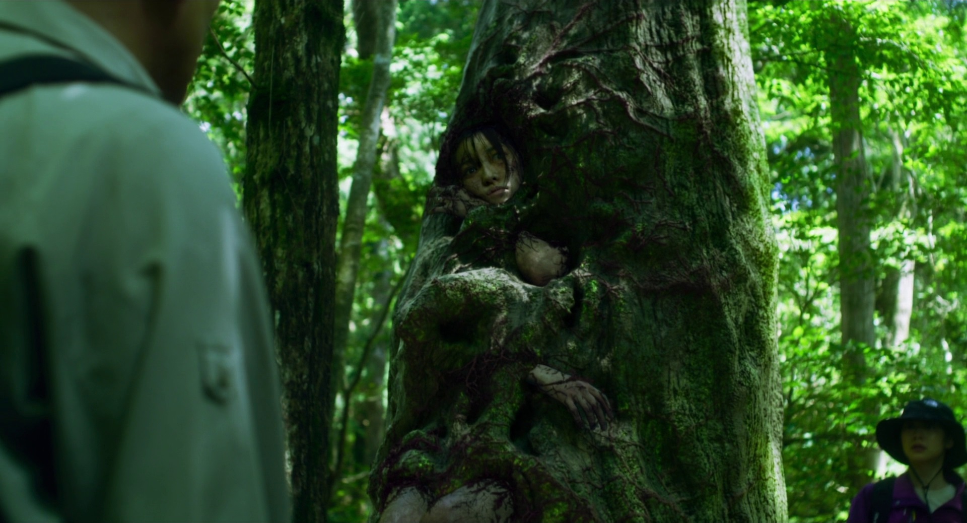 Review The Forest