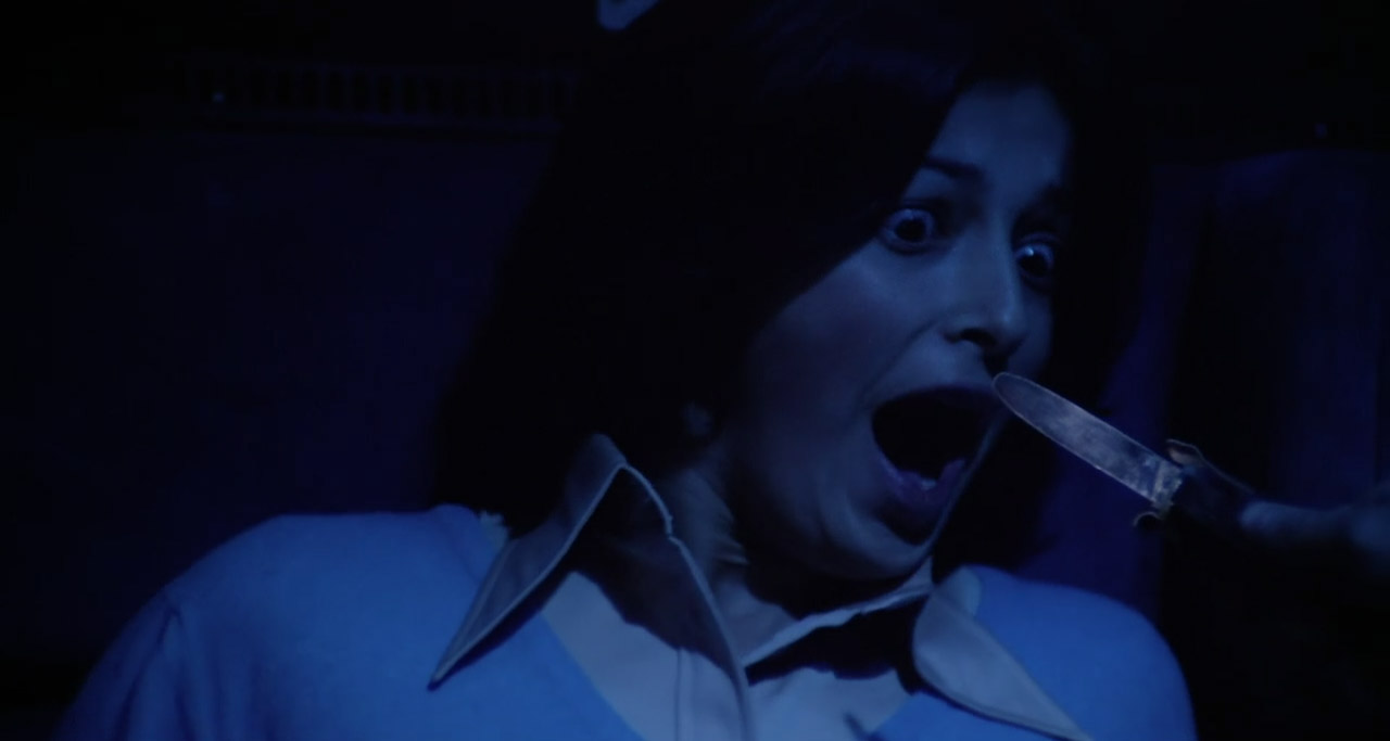 Last Stop on the Night Train 1975 AKA Night Train Murders