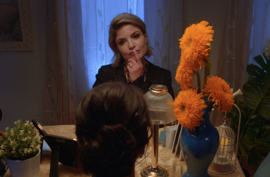 Baby Fever 2022 cover photo