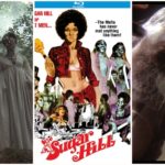 The Emancipation of Sugar Hill (1974) Film Review
