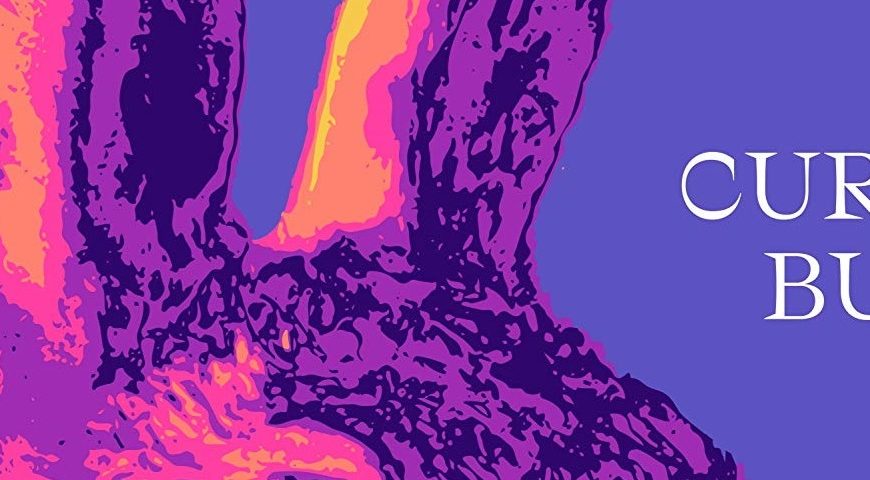 Cursed Bunny (2017) Book Review