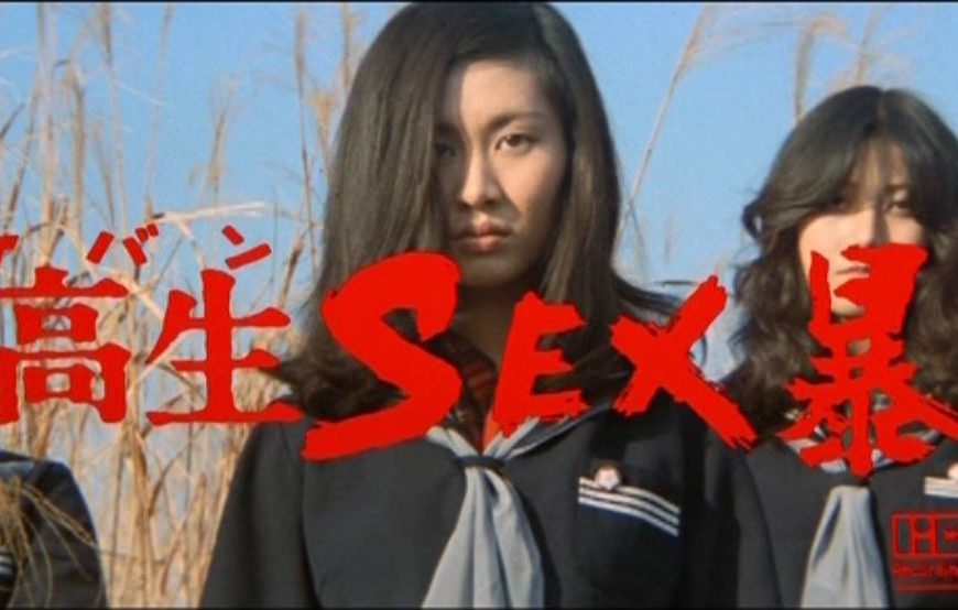 Sukeban SEX Violence (1973) Film Review – Not Your Typical Pinku