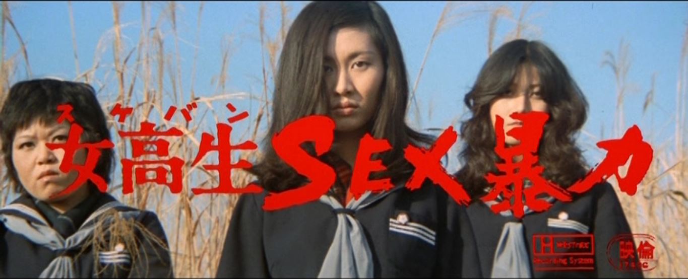 Sukeban SEX Violence 1973 cover photo