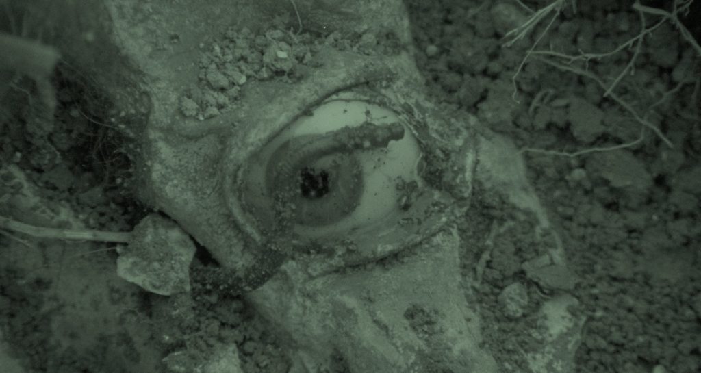Face buried in dirt with an eyeball showing