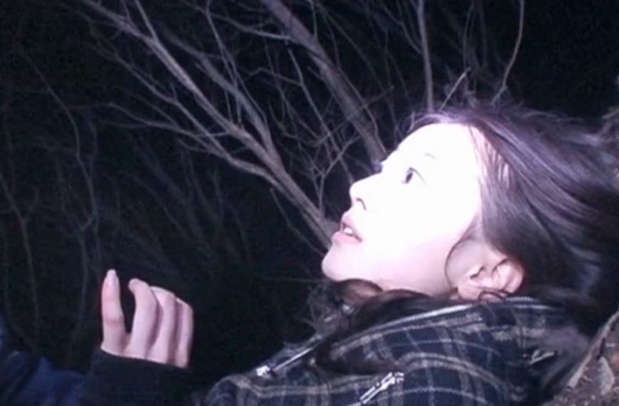 Noroi: The Curse (2005) Film Review: Into the Twilight Zone