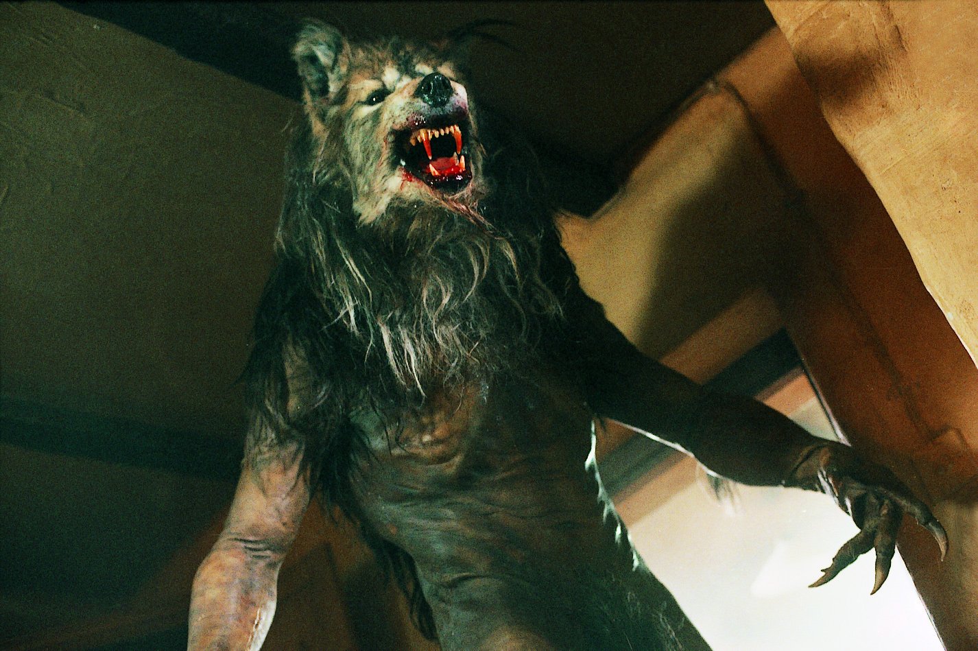 Dog Soldiers Film Review