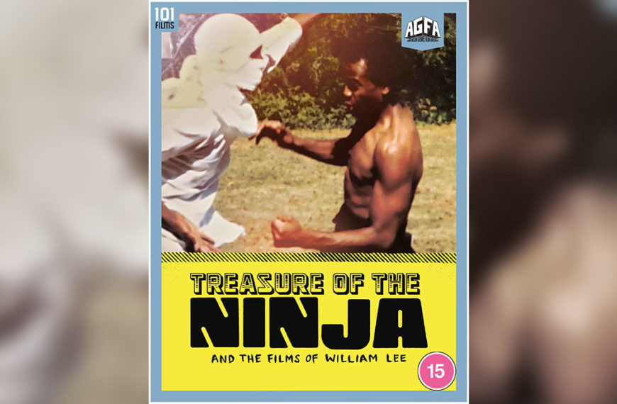 Treasure of the Ninja cover photo.jpg