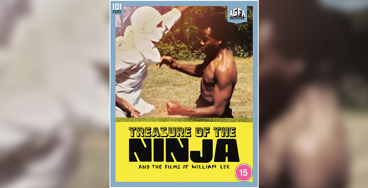 Treasure of the Ninja cover photo.jpg