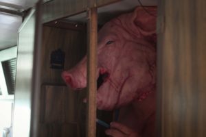 pig killer movie review