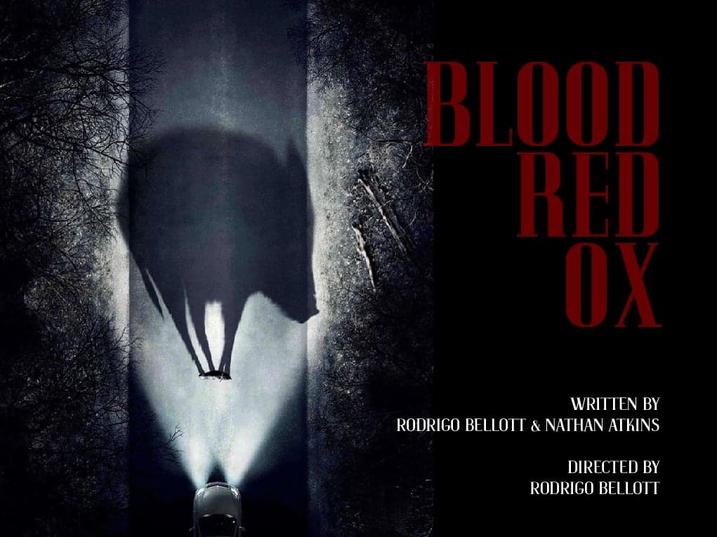 Movie poster for Blood-Red Ox showing a car with headlights highlighting a fallen animal in the road