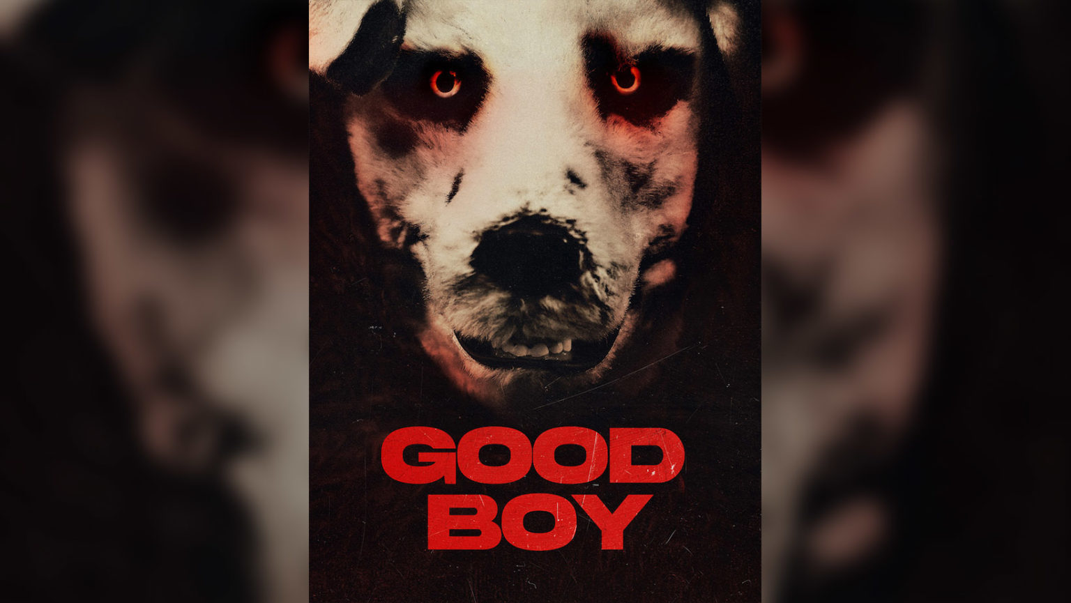 Good Boy (2022) Film Review Man's Best Friend