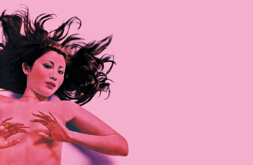 All 6 Films of Mari Atsumi’s Mollusc Series Reviewed – The Cute Devil