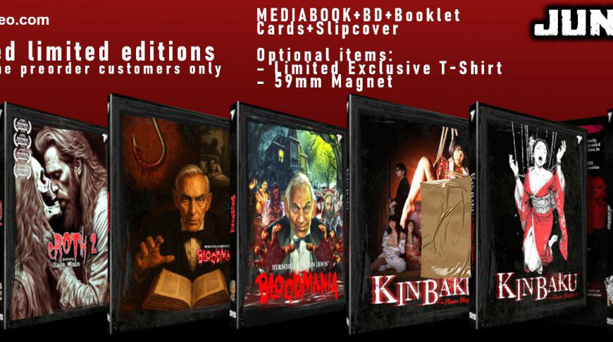 Kinbaku Flower, Blood Mania, eROTik 2 and Eros&ARThanatos among the new TetroVideo releases