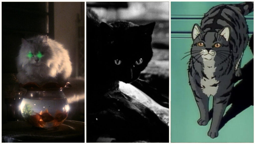 Killer Kitties – 10 Most Dangerous Cats in Asian Cinema