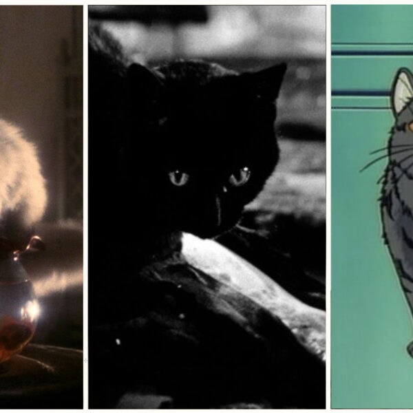Killer Kitties – 10 Most Dangerous Cats in Asian Cinema
